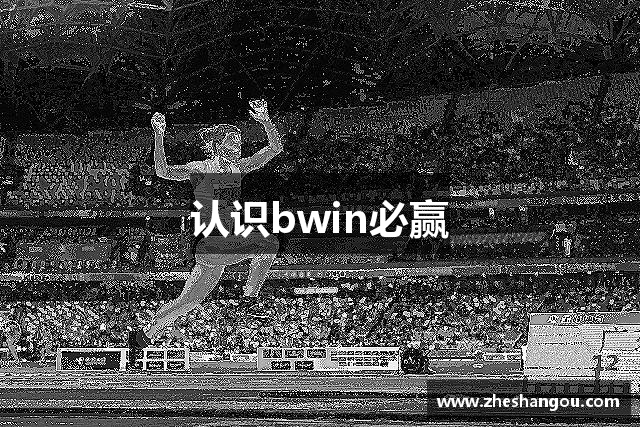 认识bwin必赢
